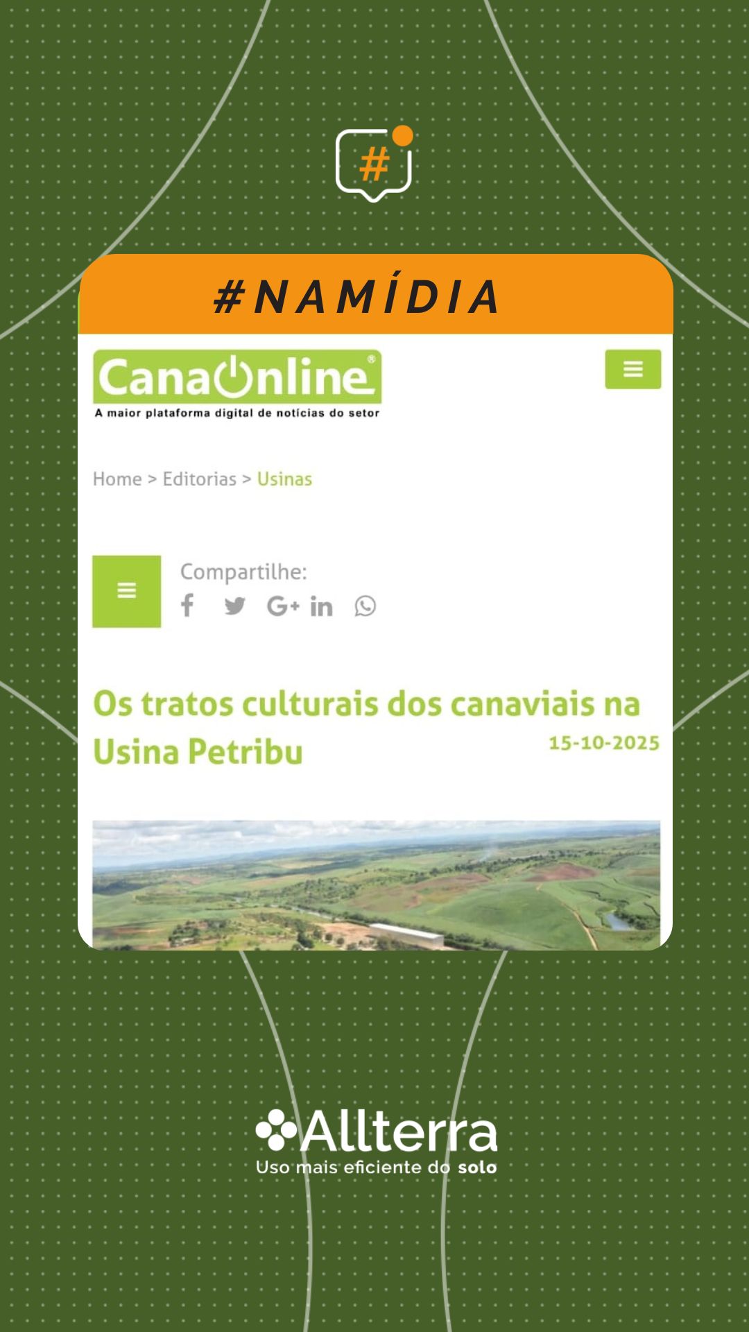 Os tratos culturais dos canaviais na Usina Petribu